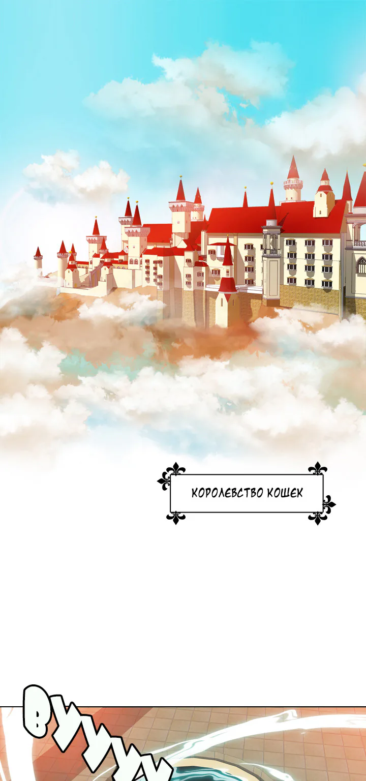 Берегитесь – это мой кот — Глава 0, страница 1
