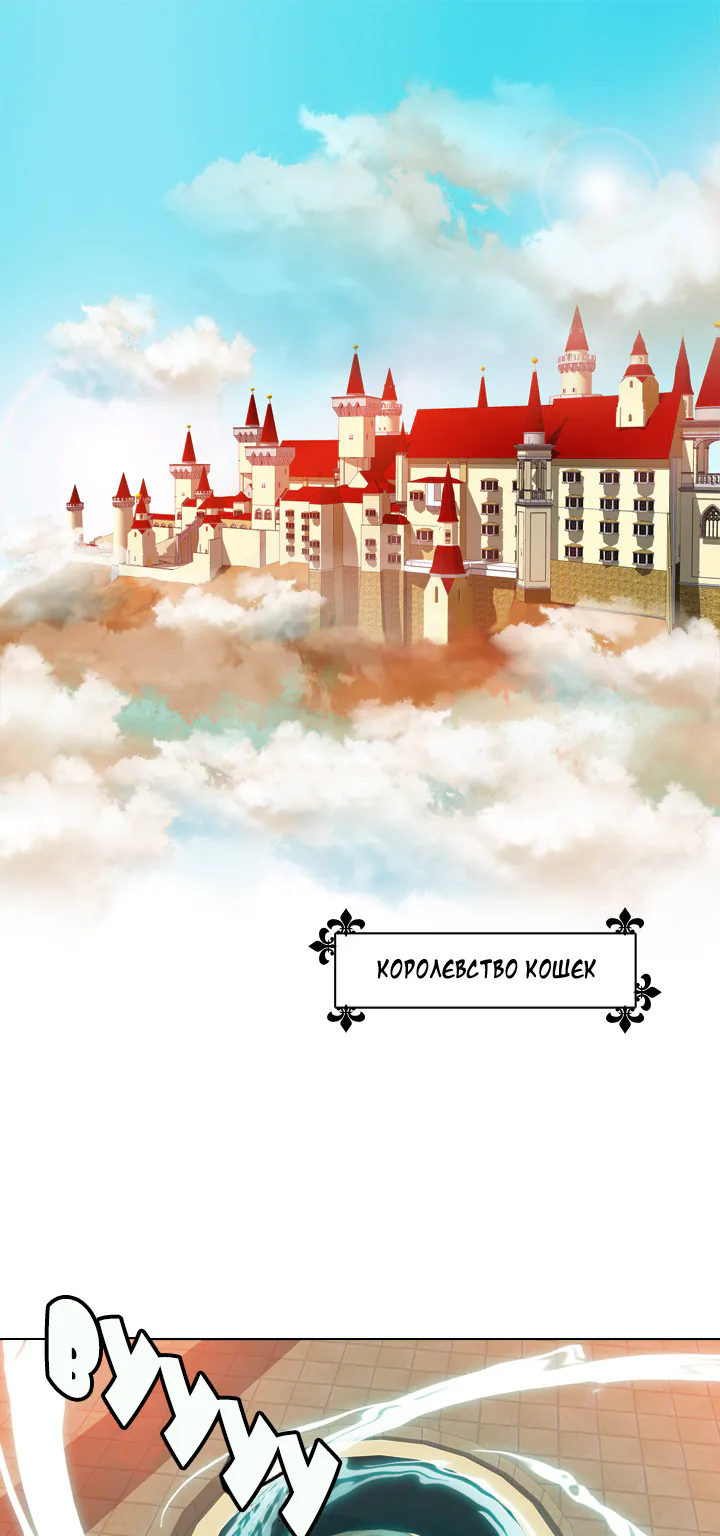 Берегитесь – это мой кот — Глава 1, страница 1