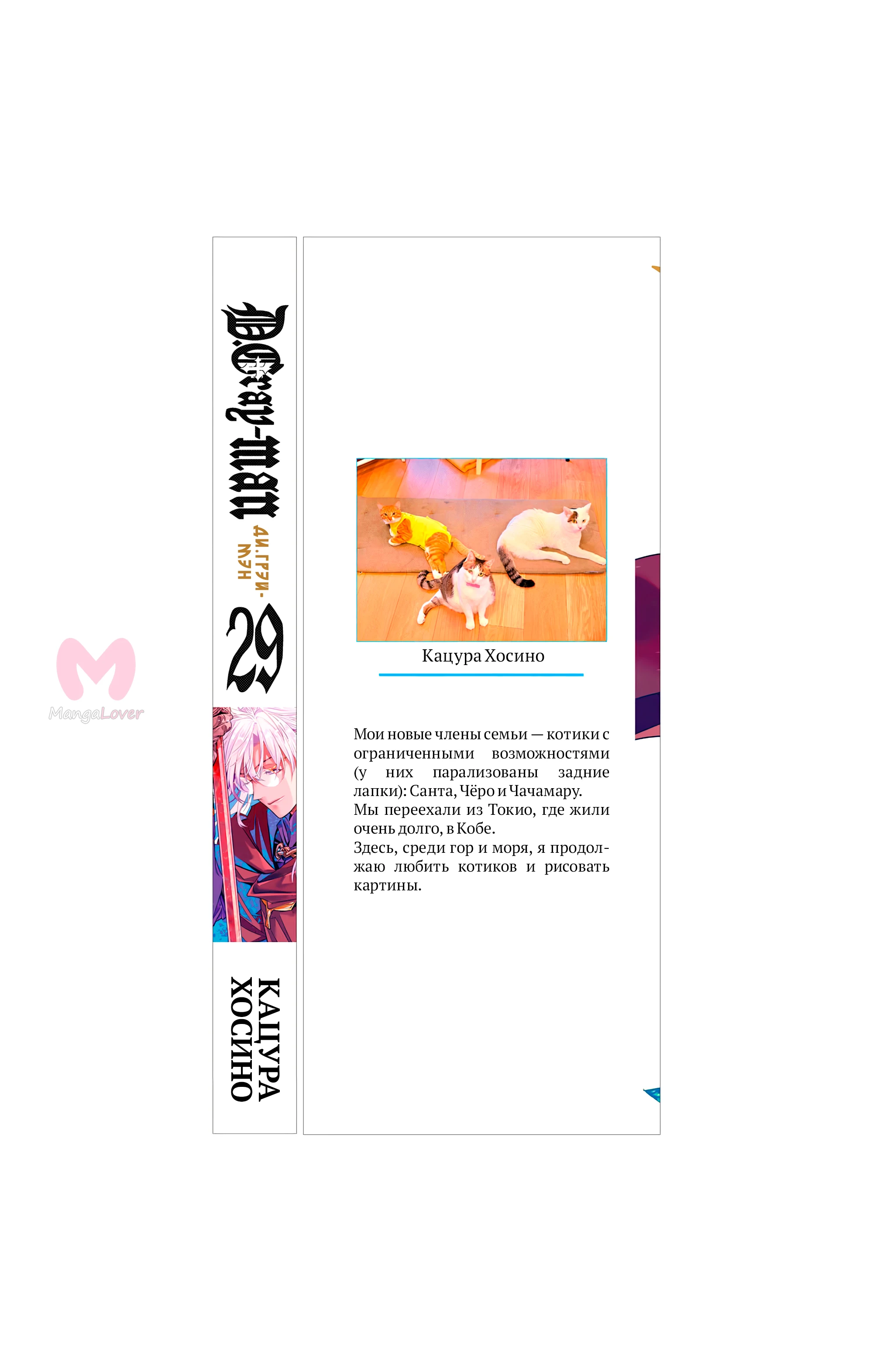 Ди Грэй-мен — Глава 254, страница 18