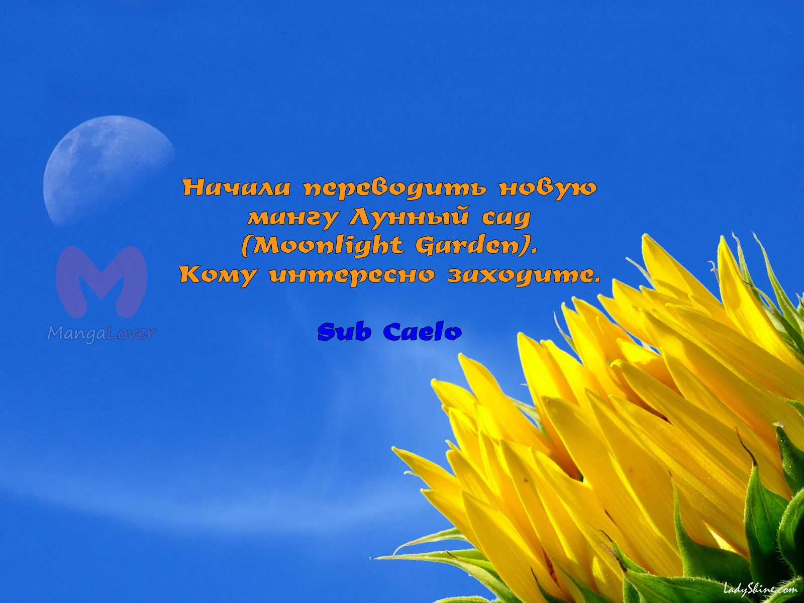 Девочка в шкуре мальчика — Глава 6, страница 29