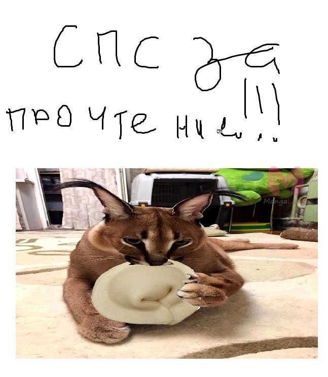 Доктор Стоун — Глава 233, страница 43