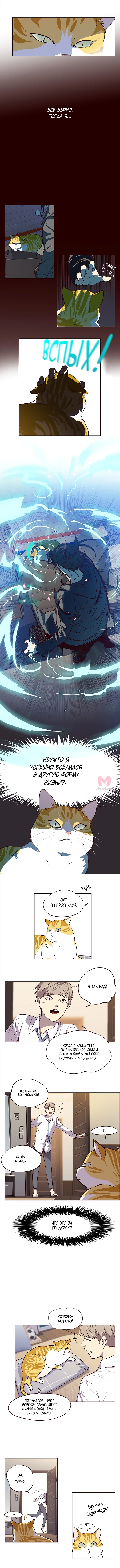 Элисед — Глава 1, страница 6