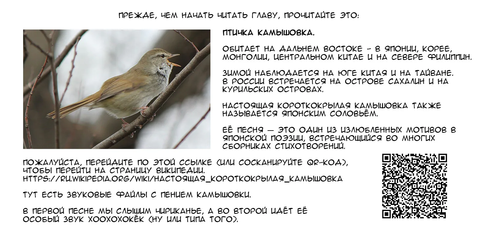 Ежемесячное сёдзё Нодзаки-куна — Глава 95, страница 1