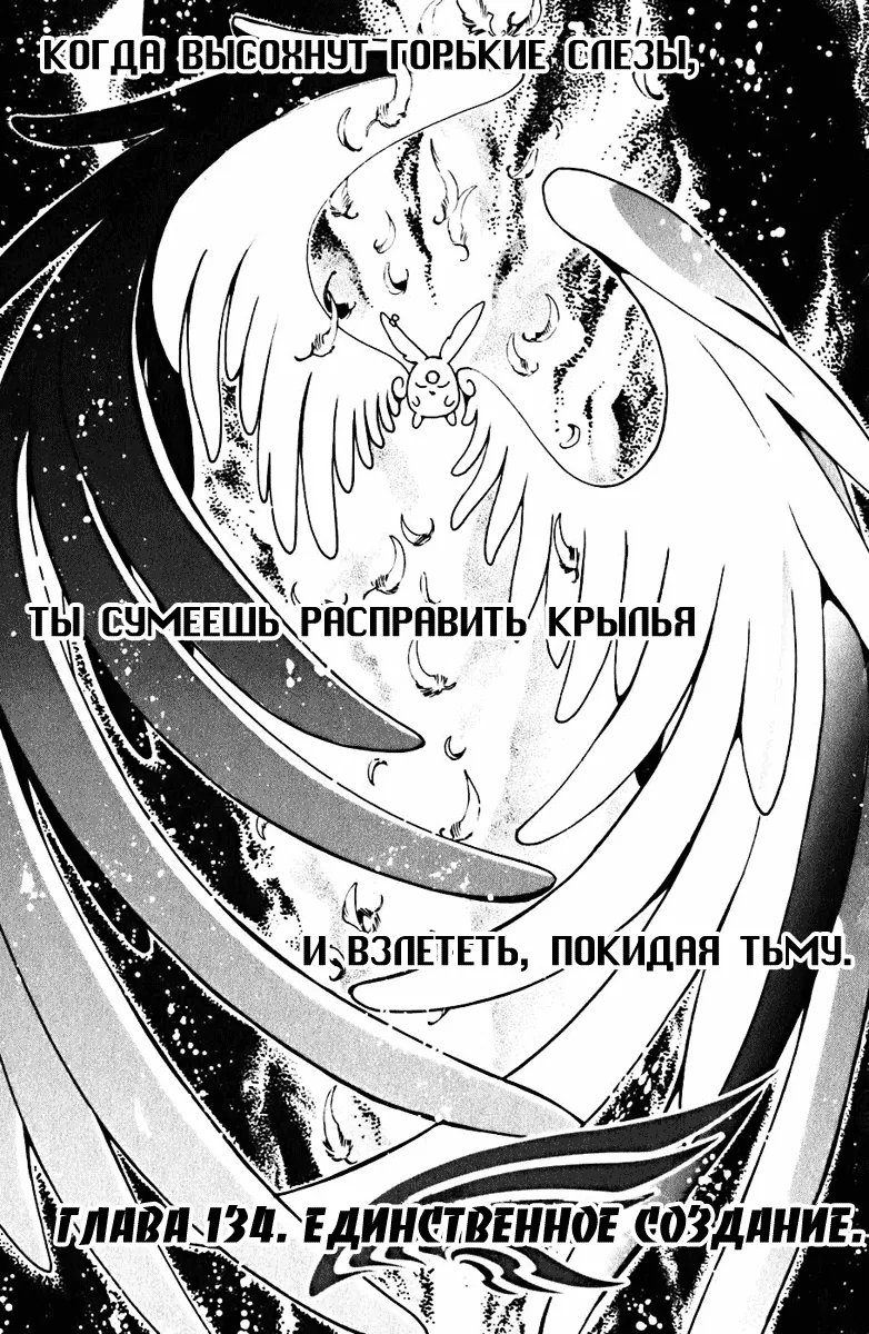 Хроника крыльев — Глава 134, страница 1