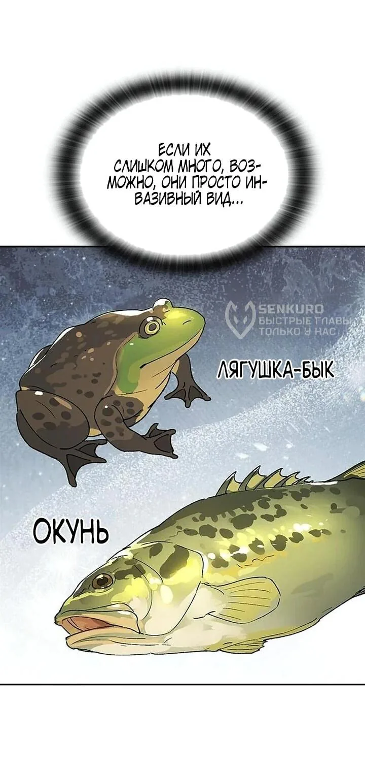 Исцеляющий кемпинг в других мирах — Глава 94, страница 40