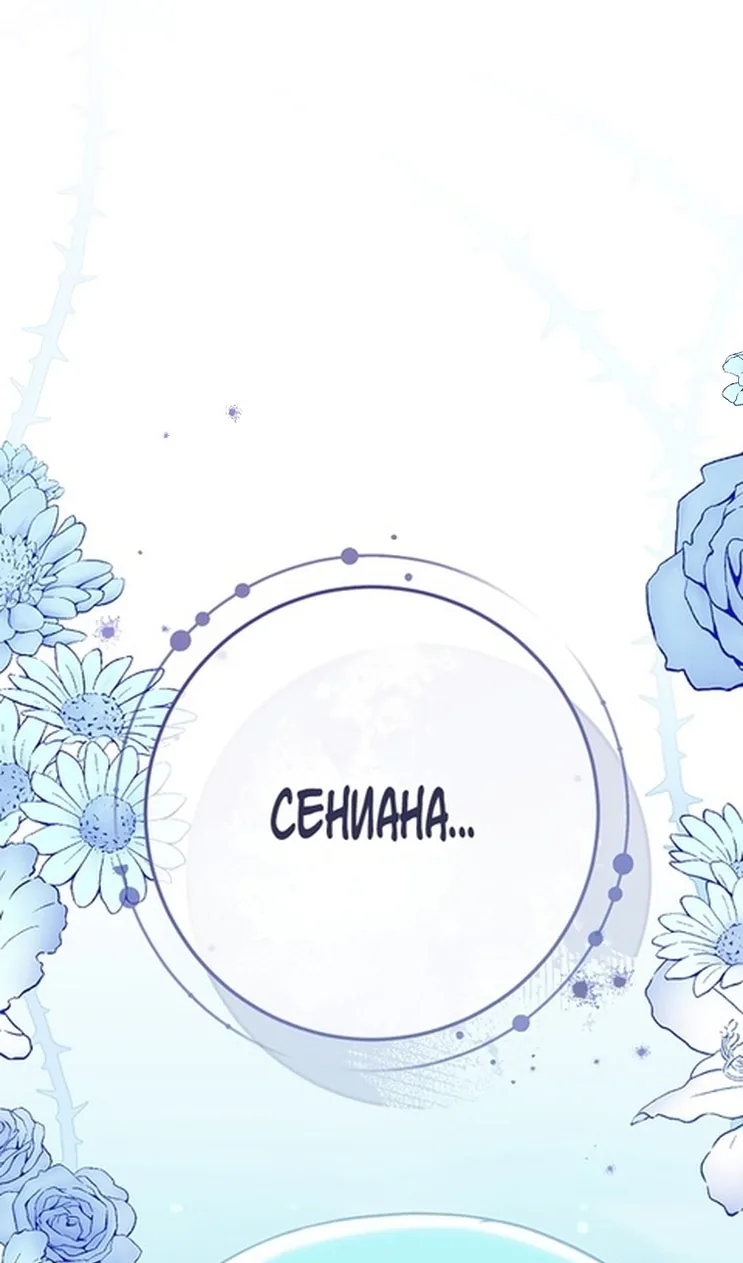 Королевский шеф-повар — Глава 161, страница 112