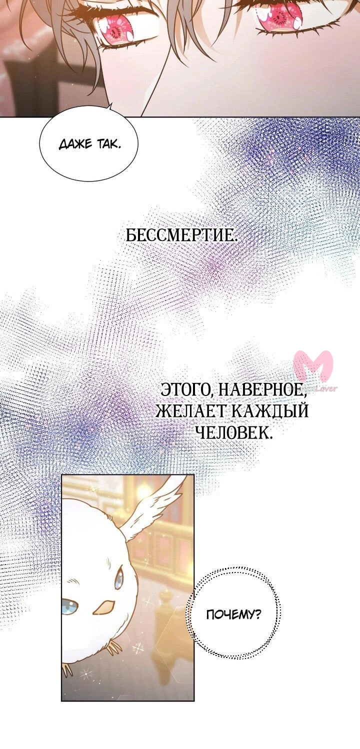 Леди-малышка — Глава 234, страница 37
