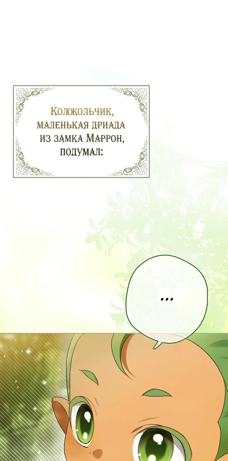 Маркиза Марон — Глава 8, страница 34