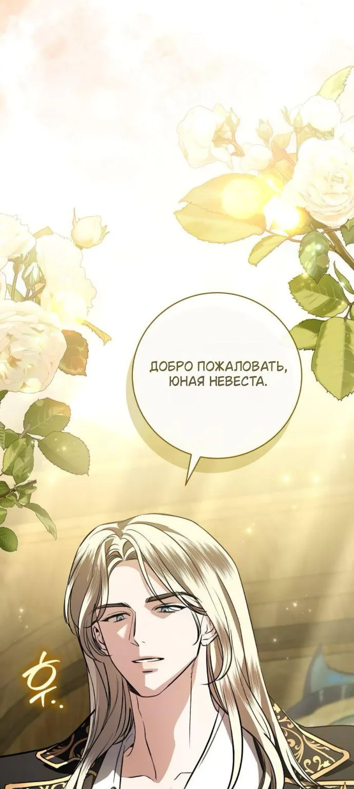 Мечтаю отомстить любовнице моего мужа — Глава 121, страница 43
