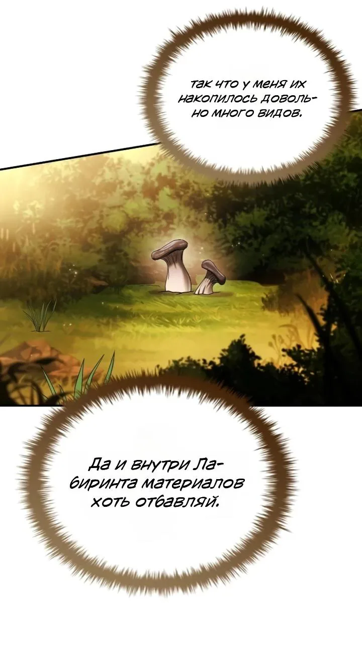 Меня не волнует всё это наследство, я лишь хочу исцелиться — Глава 23, страница 81