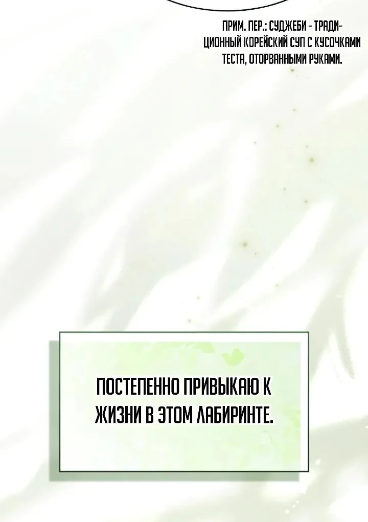 Меня не волнует всё это наследство, я лишь хочу исцелиться — Глава 23, страница 96