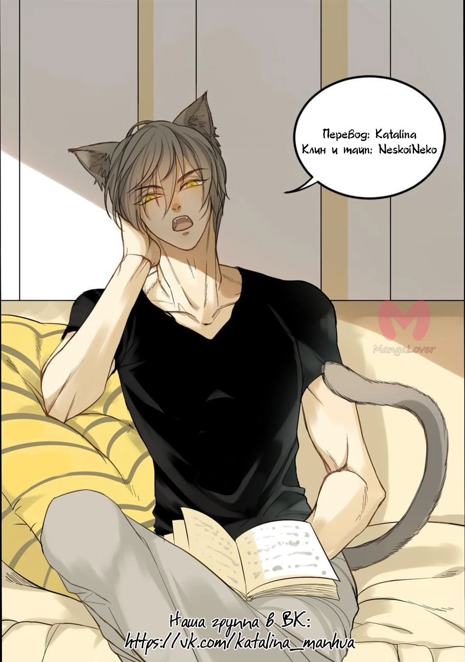 Мир, управляемый котами — Глава 42, страница 4