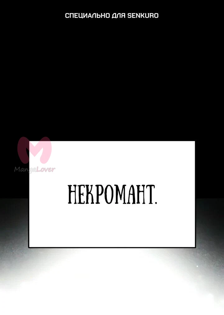 Некромант из семьи мастеров меча — Глава 11, страница 1