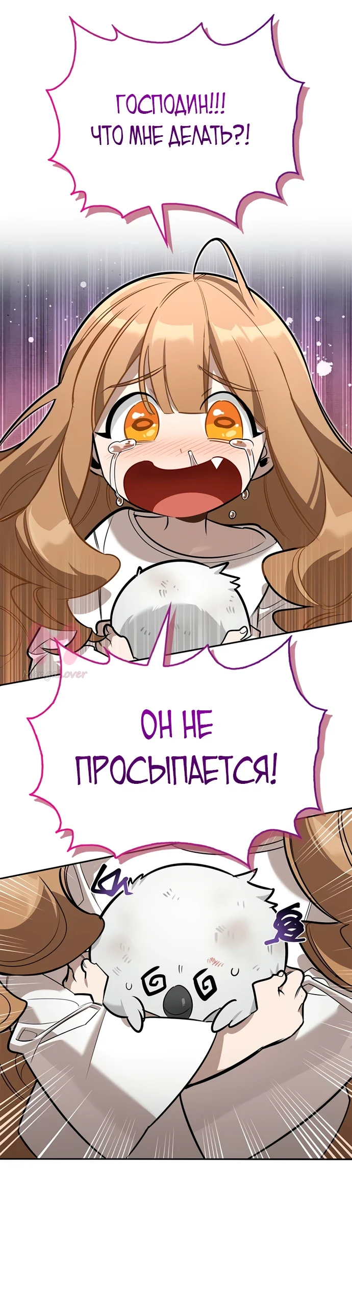 Охотник S-класса, который лечит монстров — Глава 6, страница 1