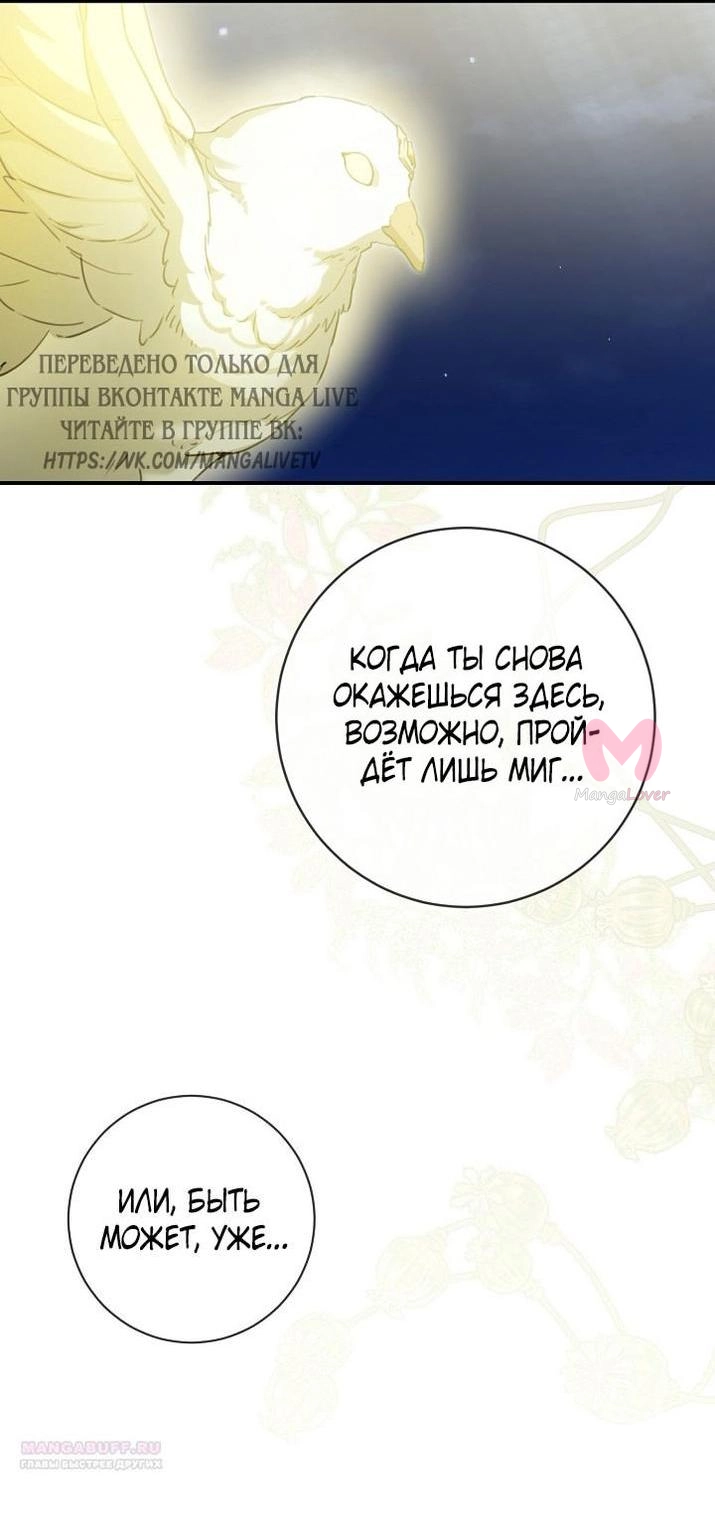 Ещё раз в свет — Глава 100, страница 11