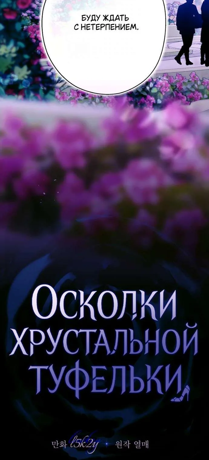 Осколки хрустальной туфельки — Глава 16, страница 43