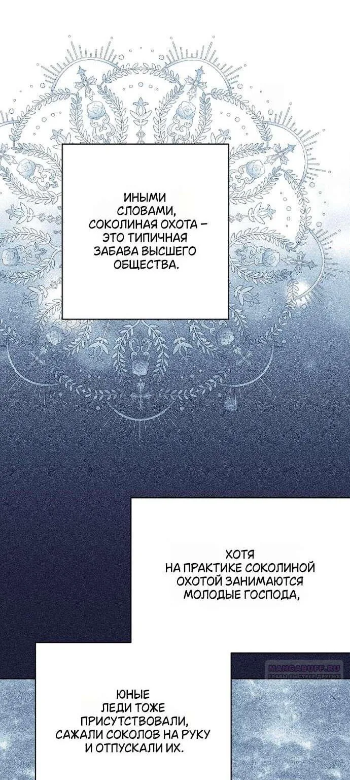 Осколки хрустальной туфельки — Глава 23, страница 13