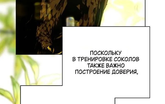 Осколки хрустальной туфельки — Глава 23, страница 37