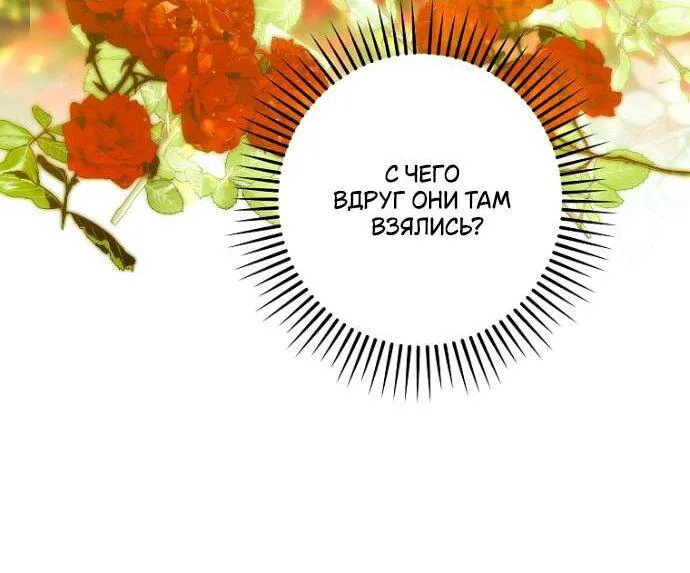 Осколки хрустальной туфельки — Глава 23, страница 43