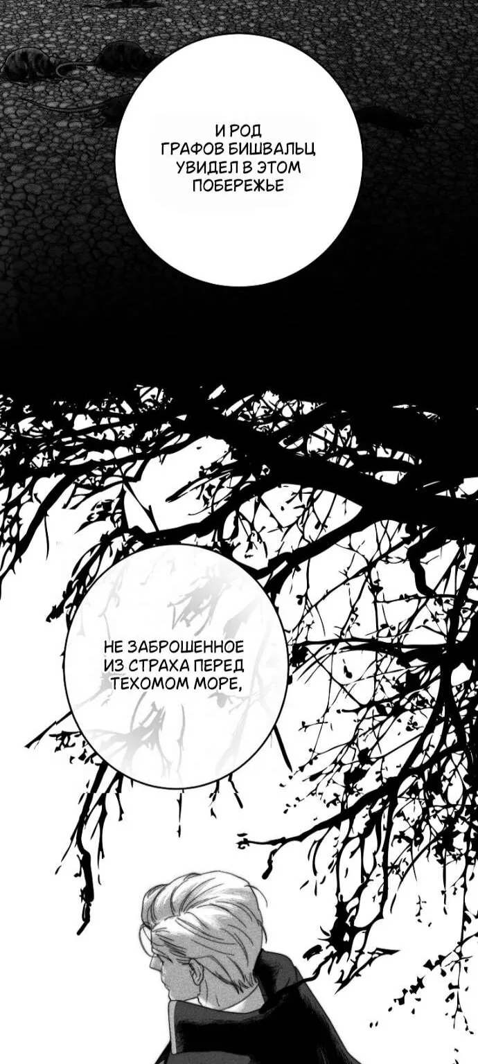 Осколки хрустальной туфельки — Глава 29, страница 19