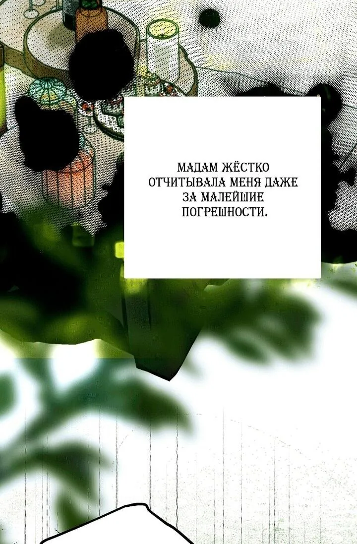 Осколки хрустальной туфельки — Глава 31, страница 12