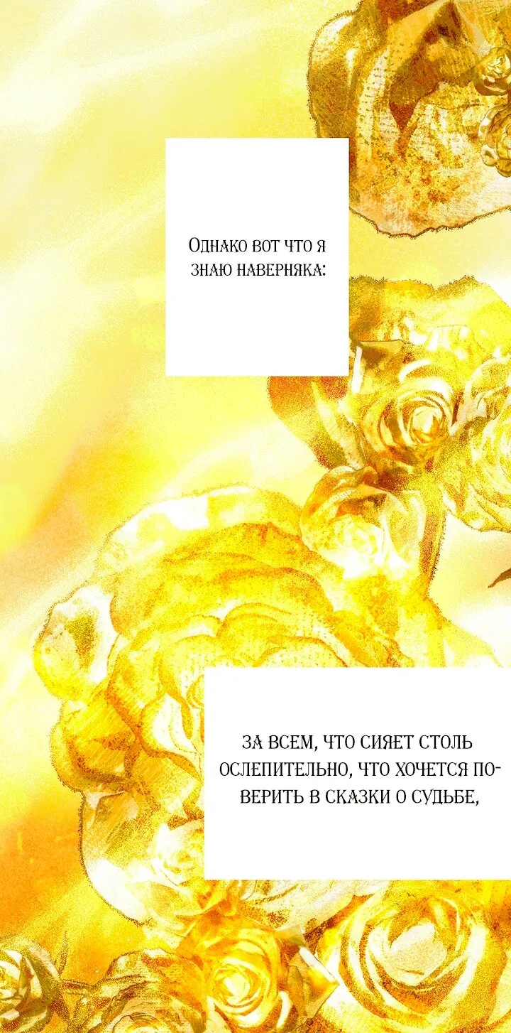 Осколки хрустальной туфельки — Глава 35, страница 27