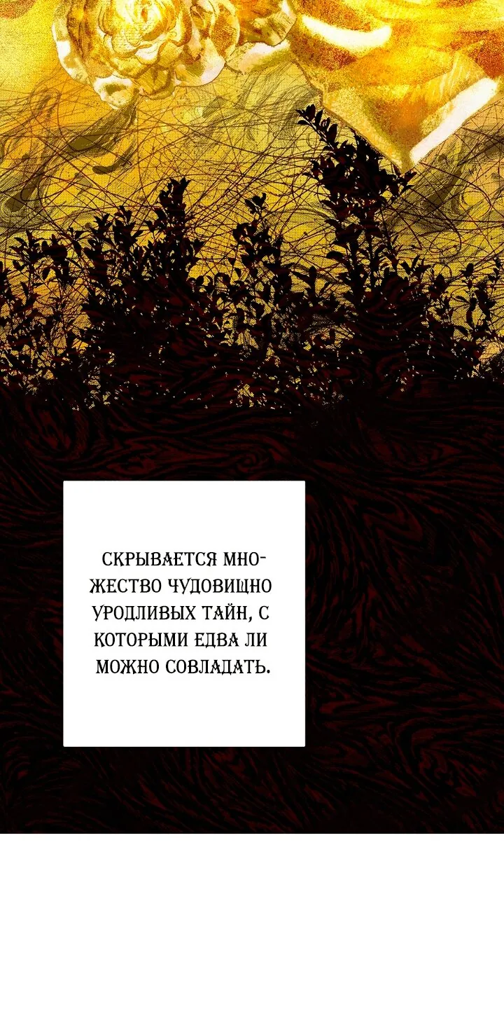 Осколки хрустальной туфельки — Глава 35, страница 28