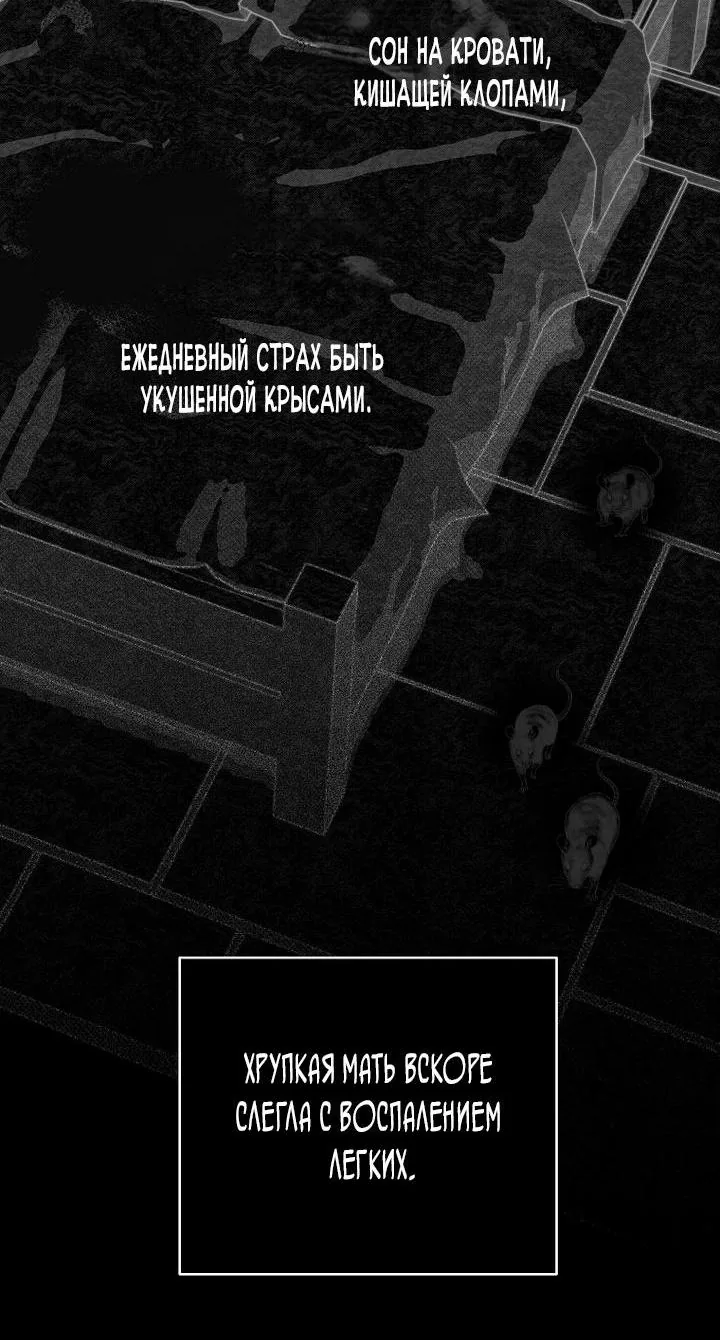 Осколки хрустальной туфельки — Глава 8, страница 24