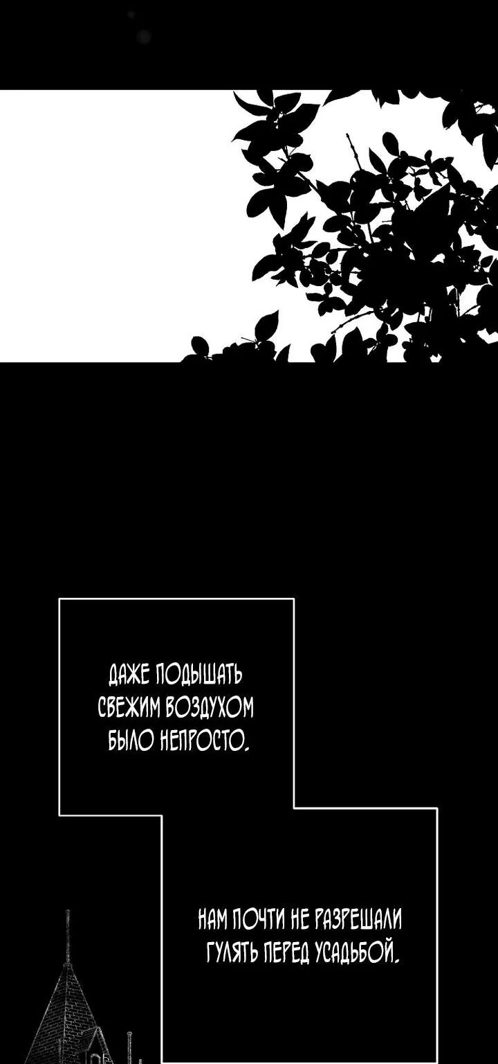 Осколки хрустальной туфельки — Глава 8, страница 27
