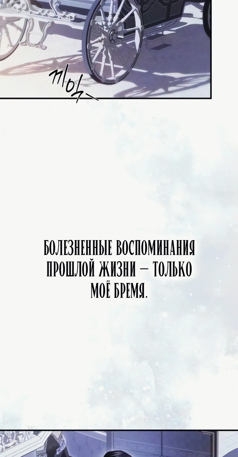 От герцога мне нужен только ребёнок — Глава 28, страница 47