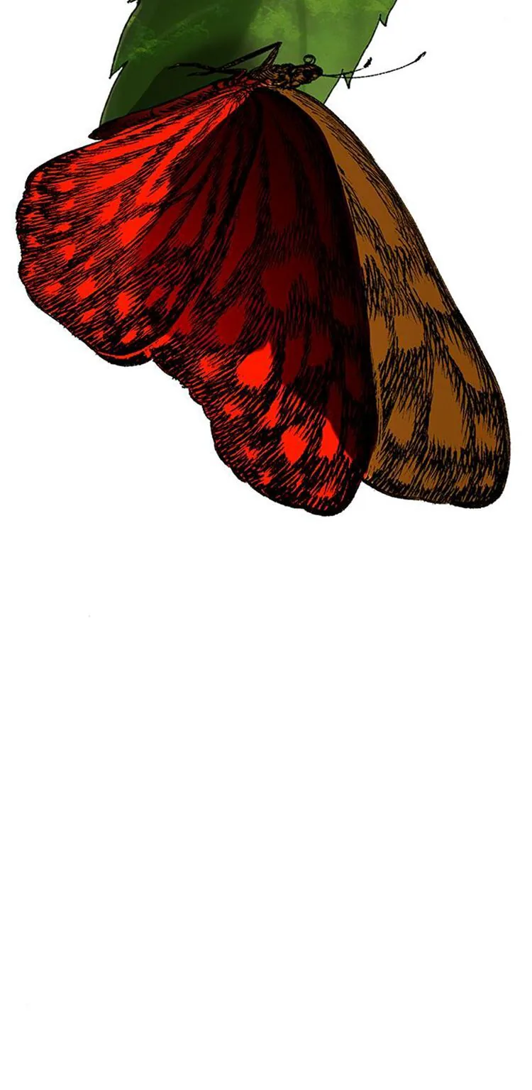 Петля — Глава 178, страница 58