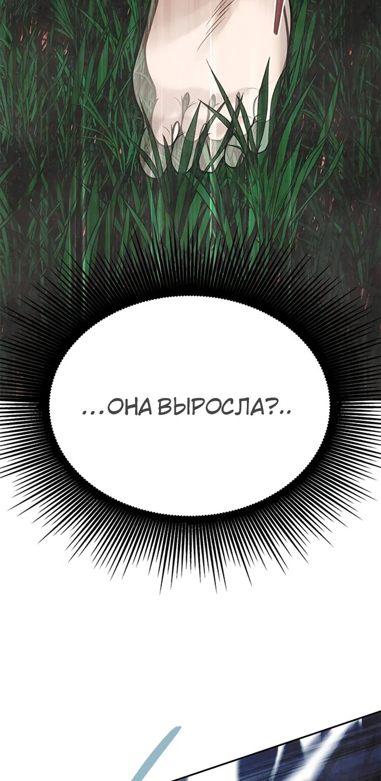 Петля — Глава 181, страница 41