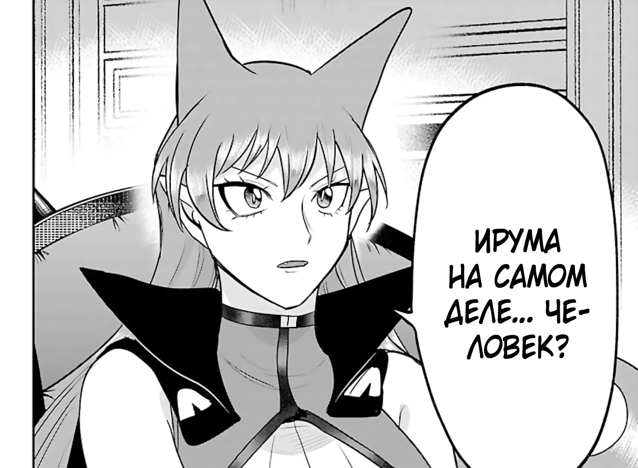 Приди же в мир демонов, Ирума-кун! — Глава 455, страница 12