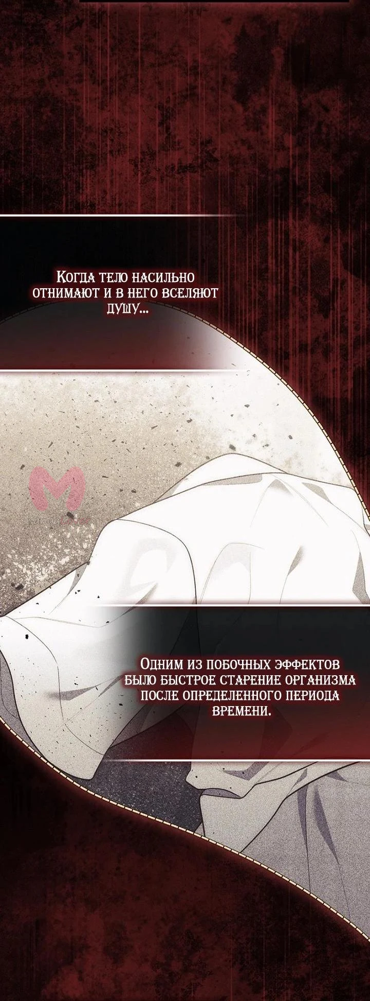Принцесса-гадалка — Глава 161, страница 14