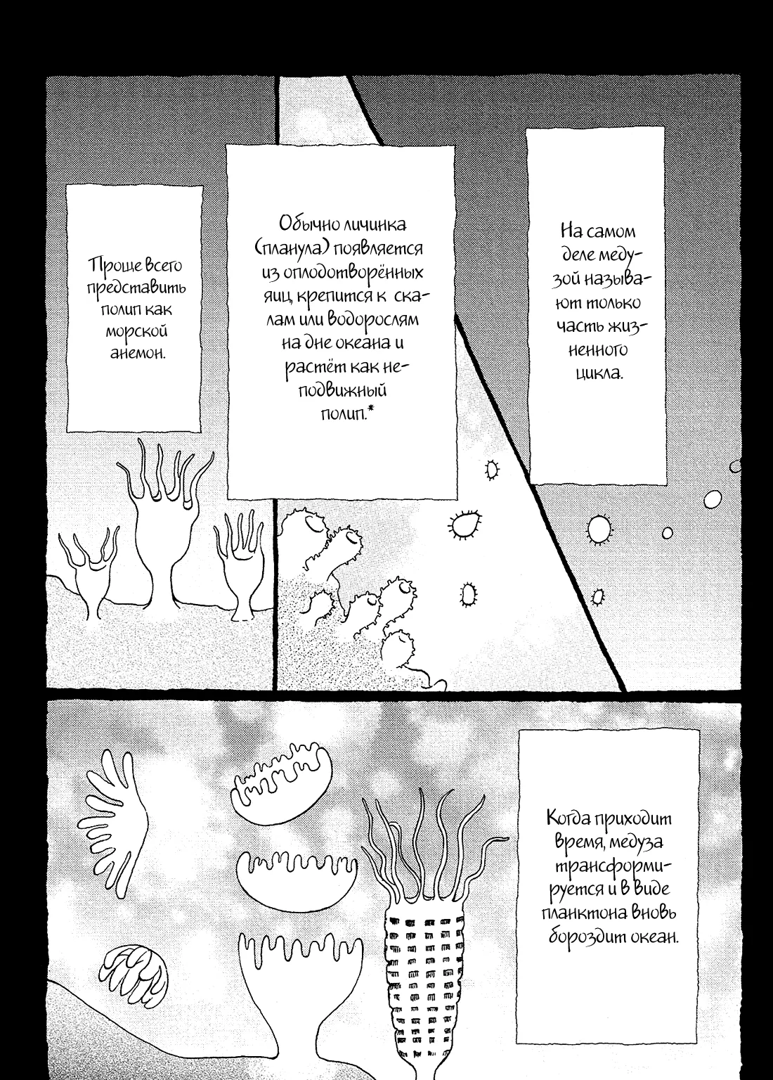Принцесса — медуза — Глава 81, страница 5