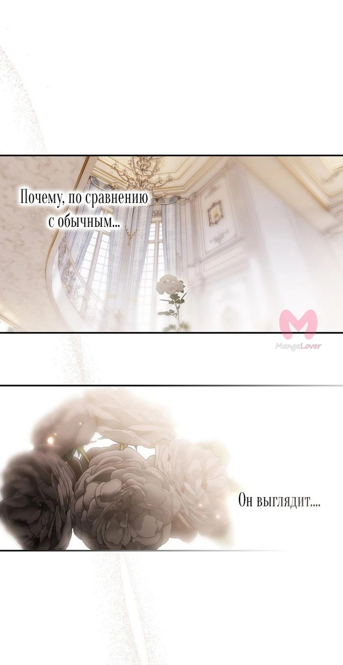 Секрет леди — Глава 114, страница 21