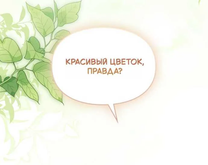 Серес, исцеляющая временем — Глава 22, страница 72