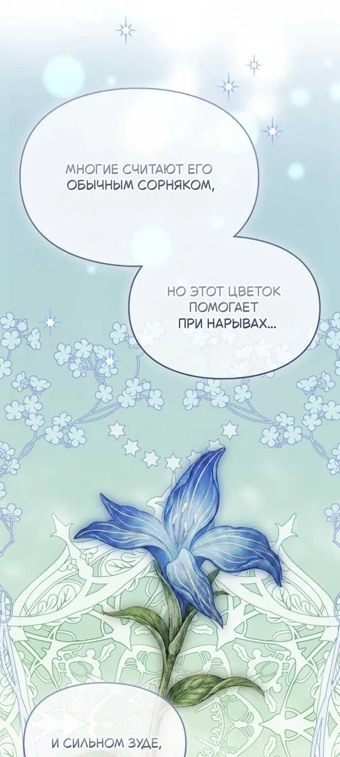 Серес, исцеляющая временем — Глава 22, страница 76