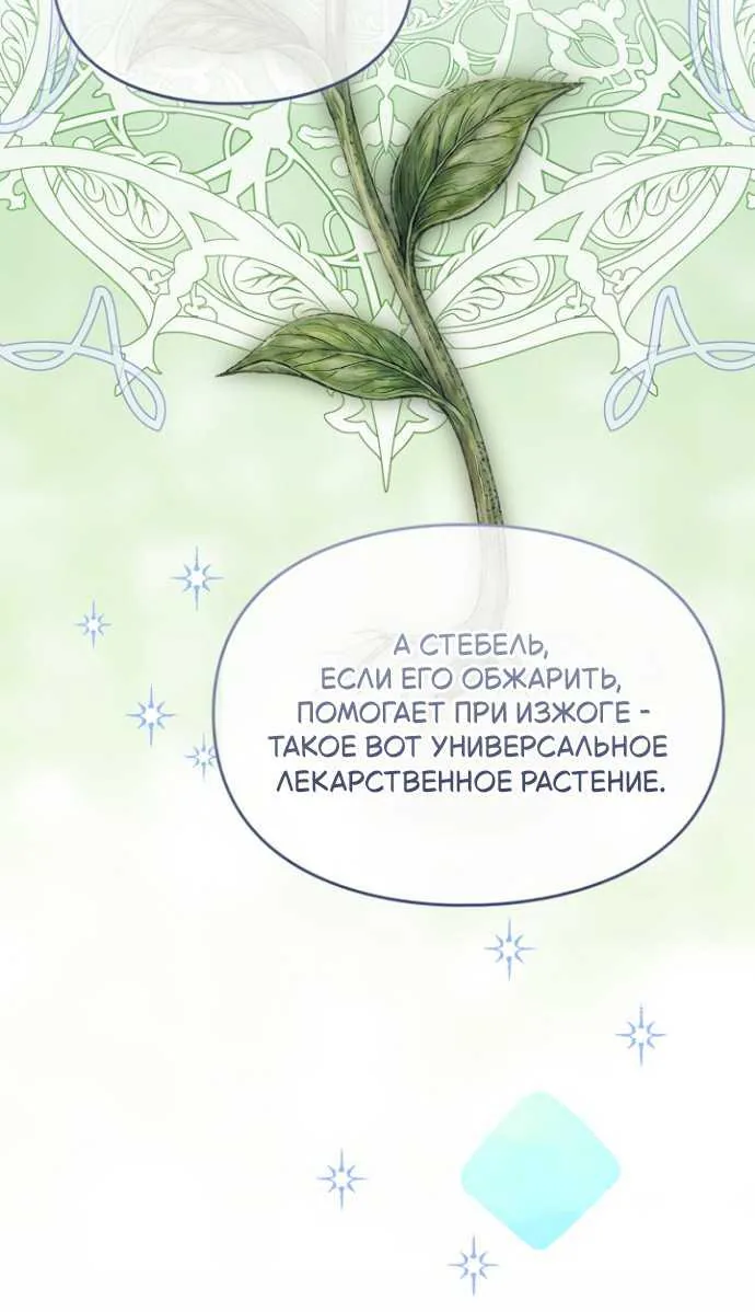 Серес, исцеляющая временем — Глава 22, страница 77