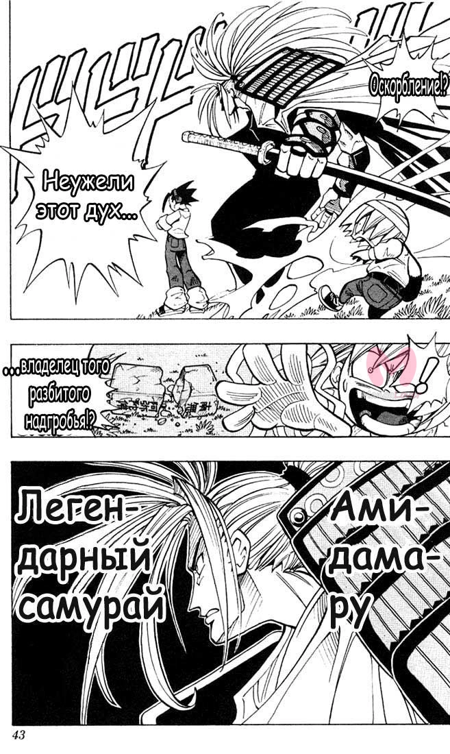 Король шаманов — Глава 1, страница 41