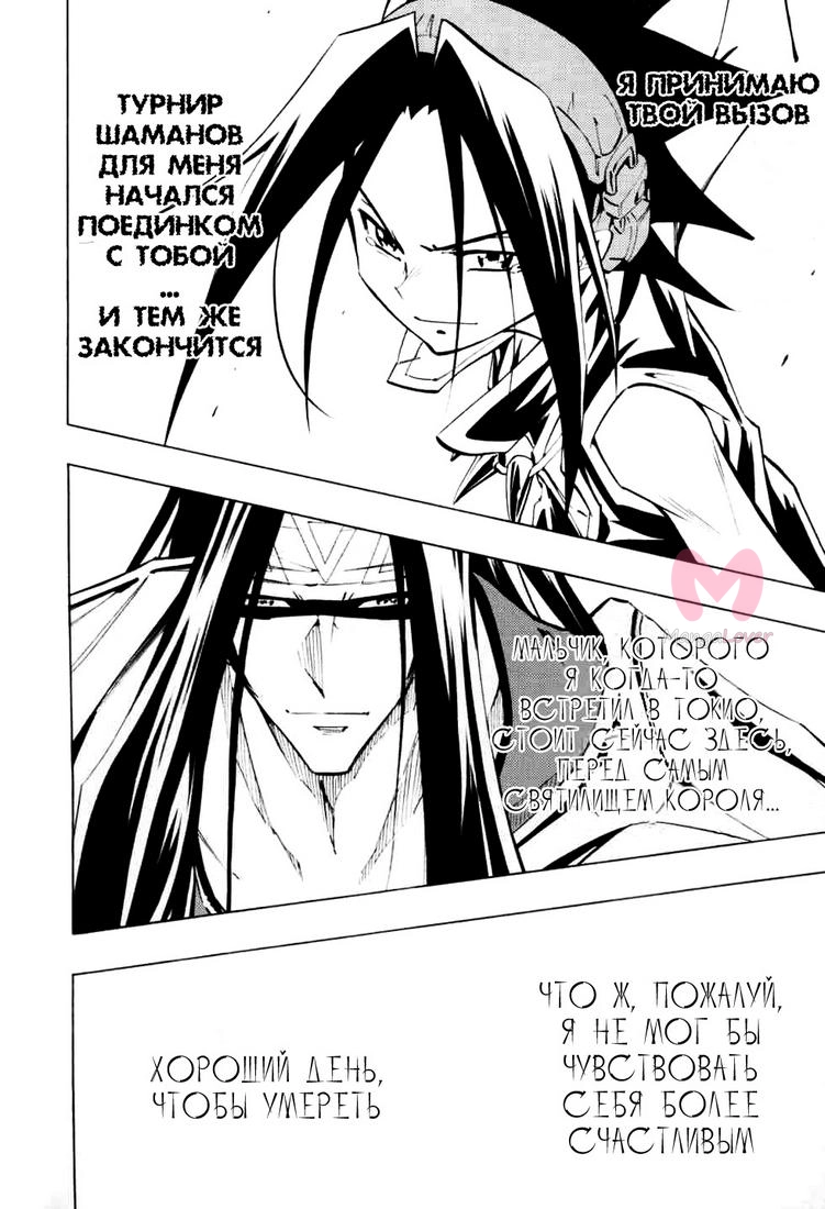 Король шаманов — Глава 294, страница 9