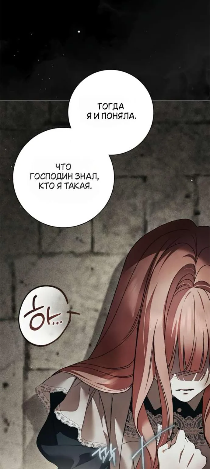 Тайная служанка графа — Глава 106, страница 8