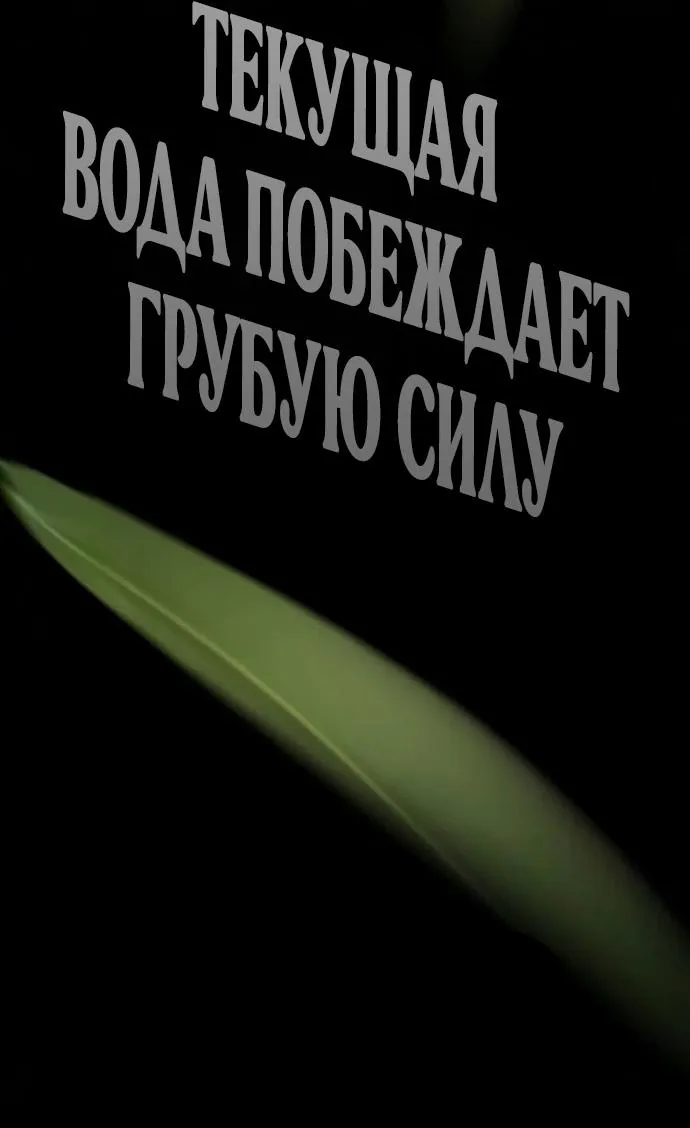 Убийца Педро — Глава 148, страница 204