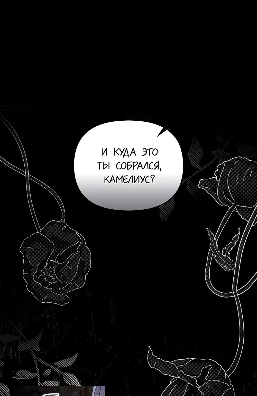 В поисках Камелии — Глава 74, страница 1