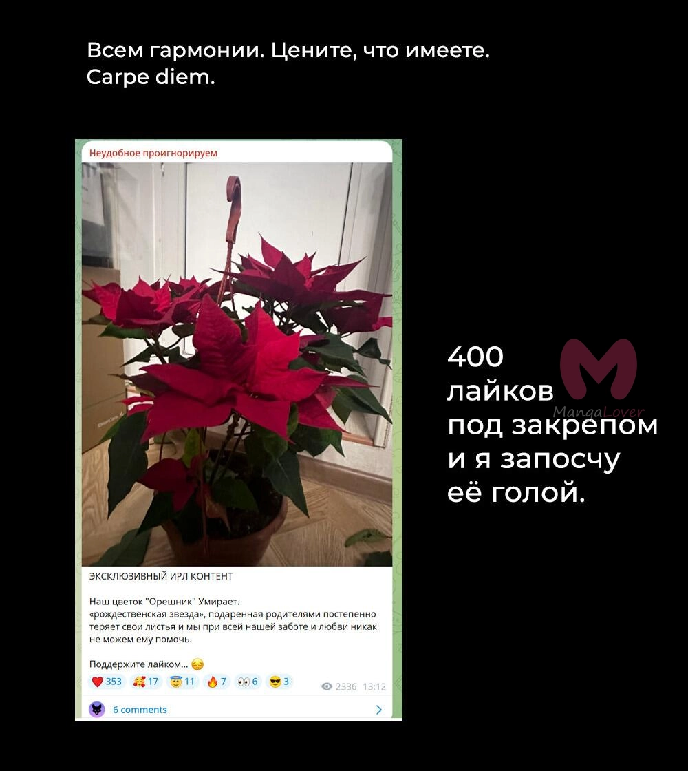 Всеведущий читатель — Глава 245, страница 86