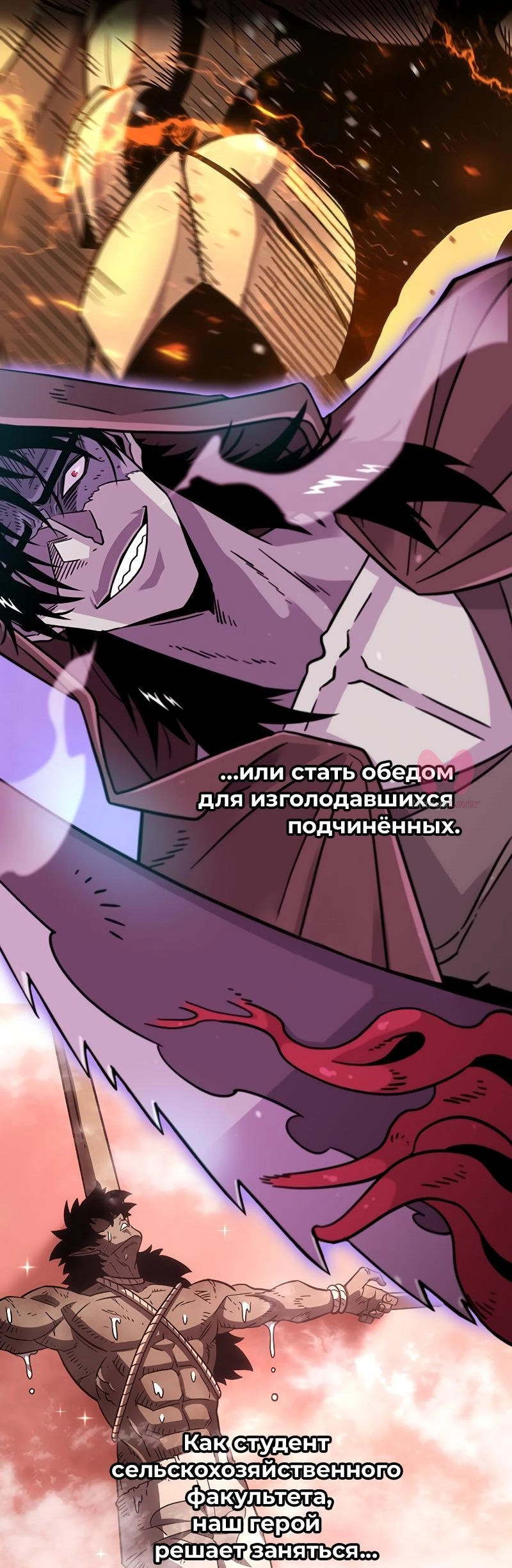 Всеведущий читатель — Глава 269, страница 85