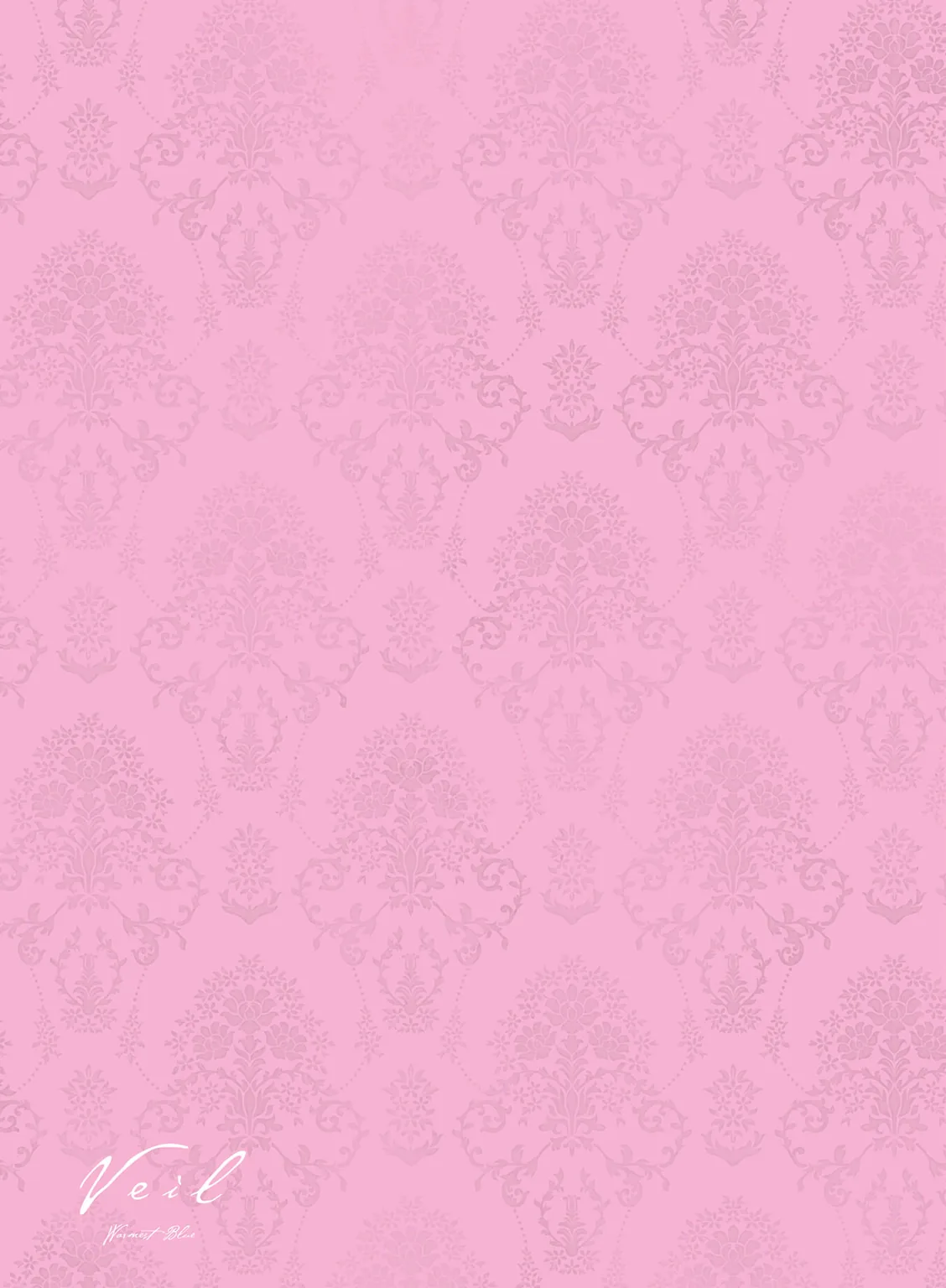 Вуаль — Глава 69, страница 17