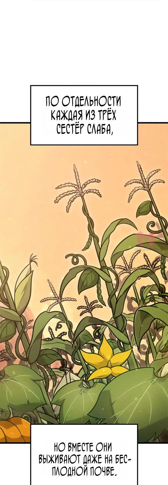 Наш урожай небывалый, повелитель! — Глава 1, страница 3082