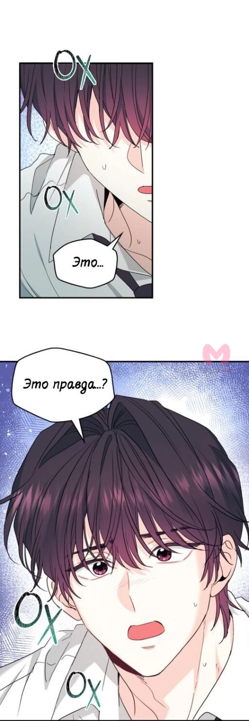 Закон бессонницы — Глава 240, страница 26