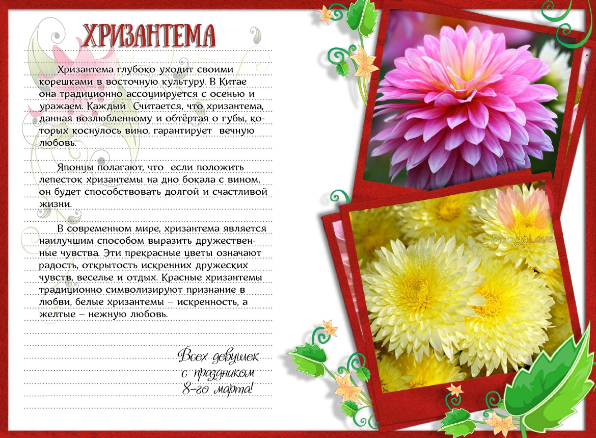 Замаскированная любовь — Глава 121, страница 44